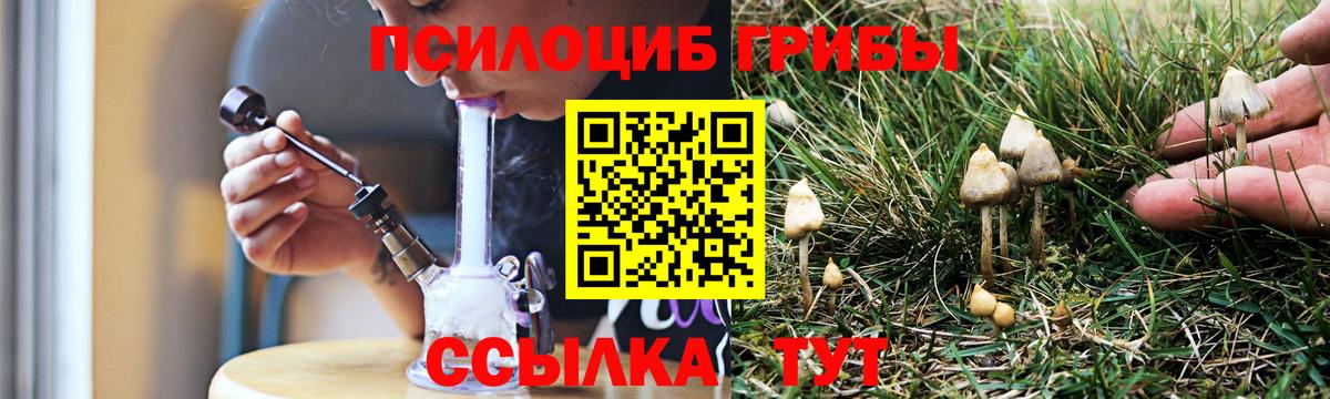 Кумертау  Галлюциногенные грибы Psilocybe  Галлюциногенные грибы мицелий  Вход с VPN 